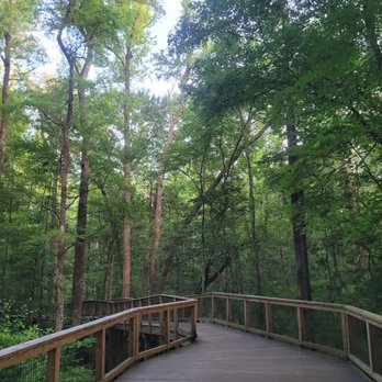 Congaree National Park - Parks Near Me - Hopkins, South Carolina