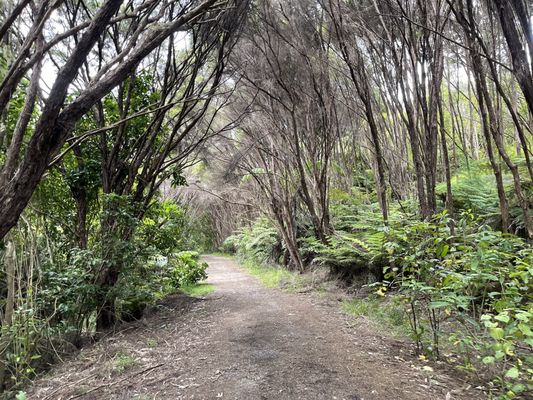 Waiheke Island by null