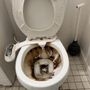 Photo of Luvia’s cleaning services