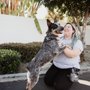 Photo of Surfside Dog Academy