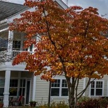 The Knolls, A Bethel Community - Retirement Homes Near Me - Valhalla, New York The Knolls, A Bethel Community - Retirement Homes Near Me - Valhalla, New York