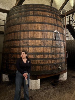 Quinta do Bomfim by null