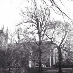 Parc Westmount - The Church at the End of Maisoneuve adj to Park... Really November;)