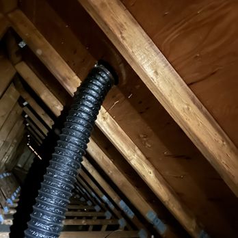 Dr. Mold - Damage Restoration Near Me