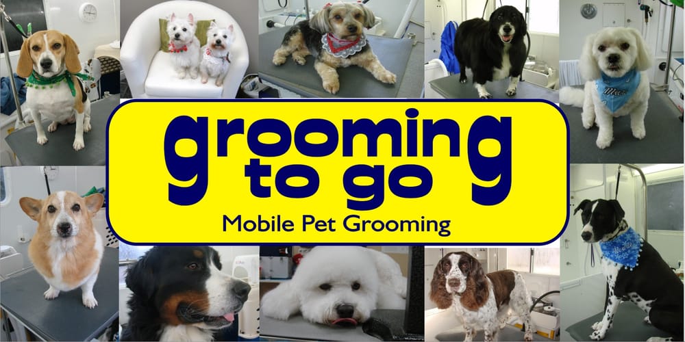 GROOMING TO GO MOBILE PET GROOMING Updated May 2024 Zionsville