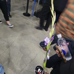 Morrissey 10/18/25 - someone gave my sister this flower and a sticker! Morrissey 10/18/25 - someone gave my sister this flower and a sticker!
