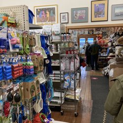 Pandora's Box Pet Products - A lot of cat pictures