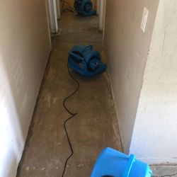 Get Rapid Restoration