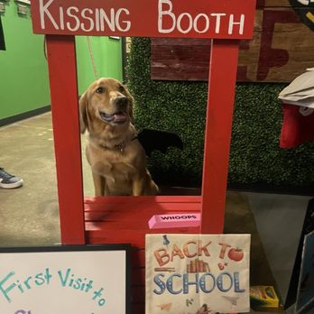 Checkerspot Brewing - Back to school - Breweries Near Me - Baltimore, Maryland