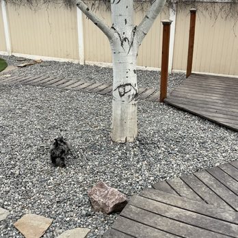 Ernie's Landscaping - They placed rock and dog friendly turf to replace my dirt of a backyard. - Landscaping Near Me - Kennewick, Washington Ernie's Landscaping - They placed rock and dog friendly turf to replace my dirt of a backyard. - Landscaping Near Me - Kennewick, Washington