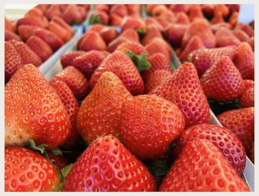 Alhambra Farmers Market by null