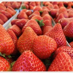 Alhambra Farmers Market - Fresh Strawberry. $16 a pack. $6 single basket.