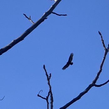 Kelley Park - Parks Near Me - San Jose, California