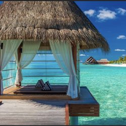 Carter World Travel Agency