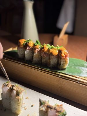 Osaka Miami by null