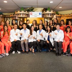 Dentists in Ewa Beach - Yelp