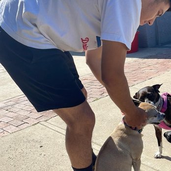 Marpawws - Pet Boarding Near Me