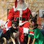 Photo of Pacific NW Pet Center
