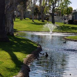 Lakeshore Gardens Mobile Home Community