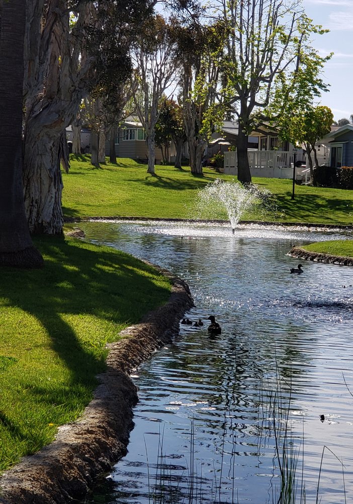 LAKESHORE GARDENS MOBILE HOME COMMUNITY 11 Reviews 7201 Avenida