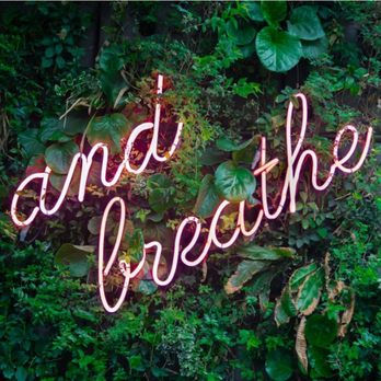 Alpha Wave Massage Therapy - Massage Therapy Near Me - Sacramento, California Alpha Wave Massage Therapy - Massage Therapy Near Me - Sacramento, California