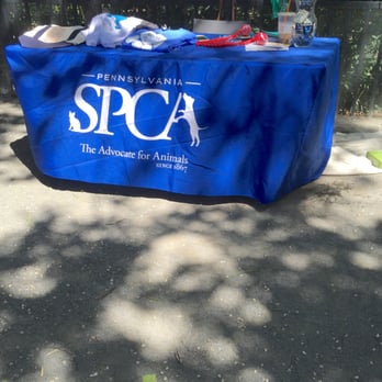 Mario Lanza Park - QVK9 - Canine Carnival 2016 - Dog Parks Near Me - Philadelphia, Pennsylvania