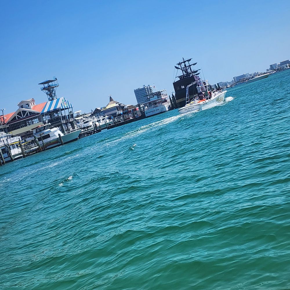 Paradise Pontoon and Captain Services - Boat Charters Near Me - Destin, Florida Paradise Pontoon and Captain Services - Boat Charters Near Me - Destin, Florida