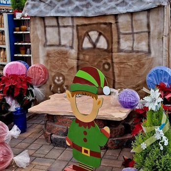 Star Nursery - Photo op for the holidays - Nurseries & Gardening Near Me - Las Vegas, Nevada Star Nursery - Photo op for the holidays - Nurseries & Gardening Near Me - Las Vegas, Nevada