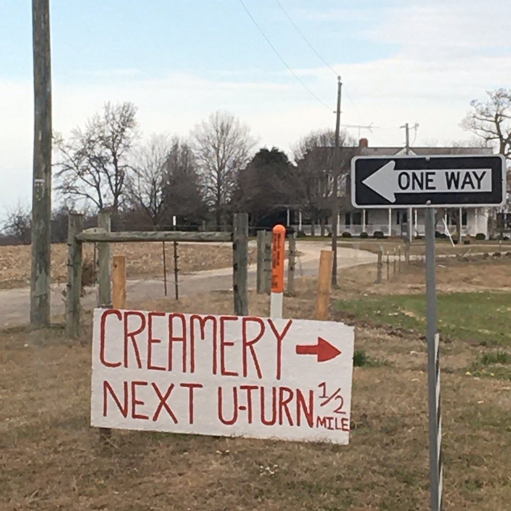 Richlands Creamery - Ranches Near Me - Blackstone, Virginia