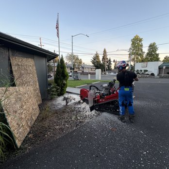 Pacific Tree Solutions - Stump grinding Birch's - Tree Services Near Me Pacific Tree Solutions - Stump grinding Birch's - Tree Services Near Me