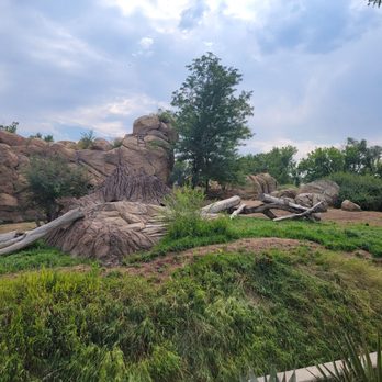 Denver Zoo - Zoos Near Me - Denver, Colorado
