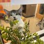 Photo of Bernalillo County Animal Care & Resource Center