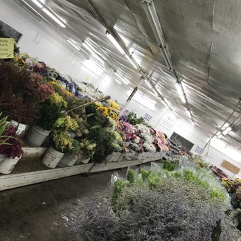 Flora Fresh - Florists Near Me - Sacramento, California Flora Fresh - Florists Near Me - Sacramento, California
