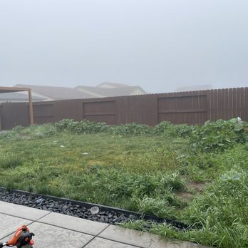 PJ Gardening Service - Gardeners Near Me PJ Gardening Service - Gardeners Near Me