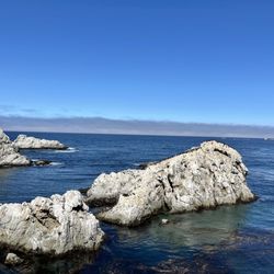 Pt Lobo State Marine Reserve