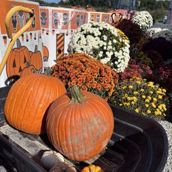 Eddy's Fruit Farm