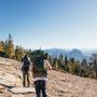 Photo of alpine alvin photo