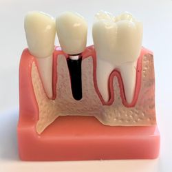 Colorado Surgical Arts - Littleton