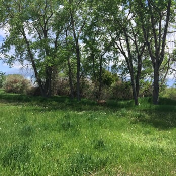 Cherry Creek State Park - See the doe? - Parks Near Me - Aurora, Colorado