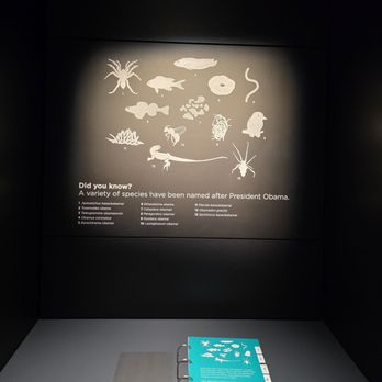 Obama Presidential Center - Love this! - Museums Near Me - Chicago, Illinois Obama Presidential Center - Love this! - Museums Near Me - Chicago, Illinois