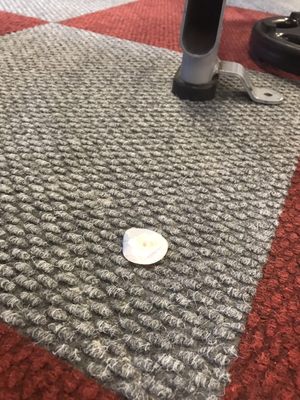 Workout Anytime Buckhead 1715 Howell Mill Rd Nw Atlanta Ga Personal Trainers Mapquest