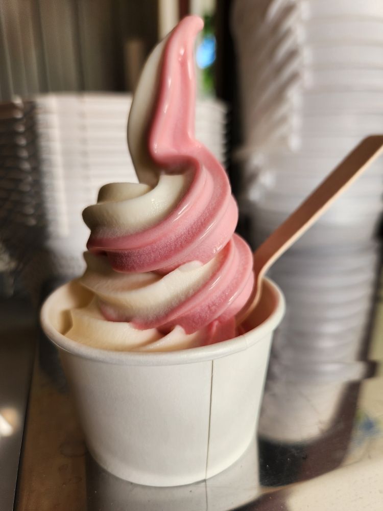 Dave's Blueberry Patch - beekeeping in Clyo, GA