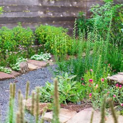 New Roots - This landscape was designed for meandering.  Here, we've created a beautiful space to walk along and explore.
