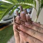 Garden Nails