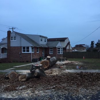 Ground Care Solutions - Removal of large tree - Tree Services Near Me Ground Care Solutions - Removal of large tree - Tree Services Near Me