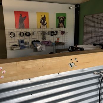Dogz101 - Reception area - Pet Groomers Near Me - Redwood City, California