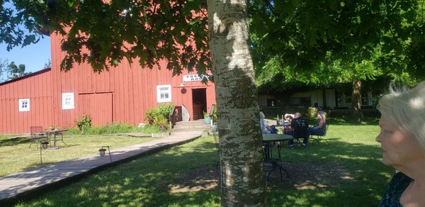 Saginaw Vineyard by null