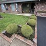 Aguilar Landscaping