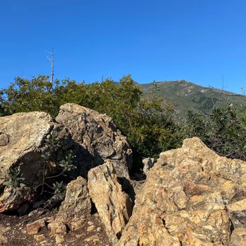 Buzzard's Roost Trail - Hiking Near Me