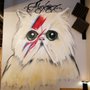 Photo of Bowie Kitty